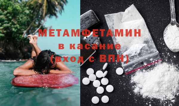 прущие грибы Белокуриха