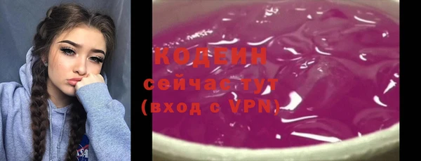 прущие грибы Белокуриха