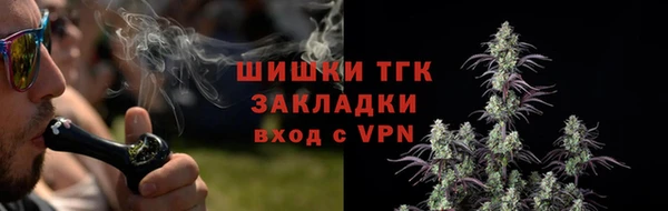 прущие грибы Белокуриха