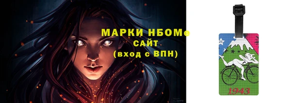 прущие грибы Белокуриха