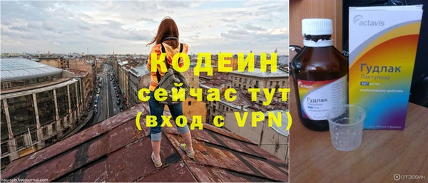 прущие грибы Белокуриха