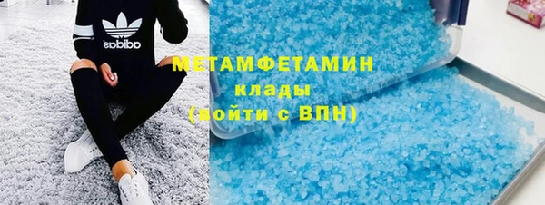 прущие грибы Белокуриха