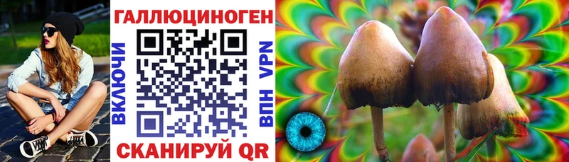 Псилоцибиновые грибы Psilocybine cubensis  Купить закладки  Радужный 